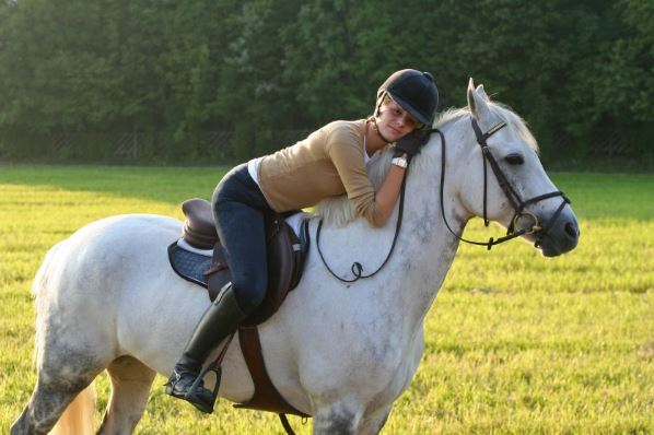 horse horse